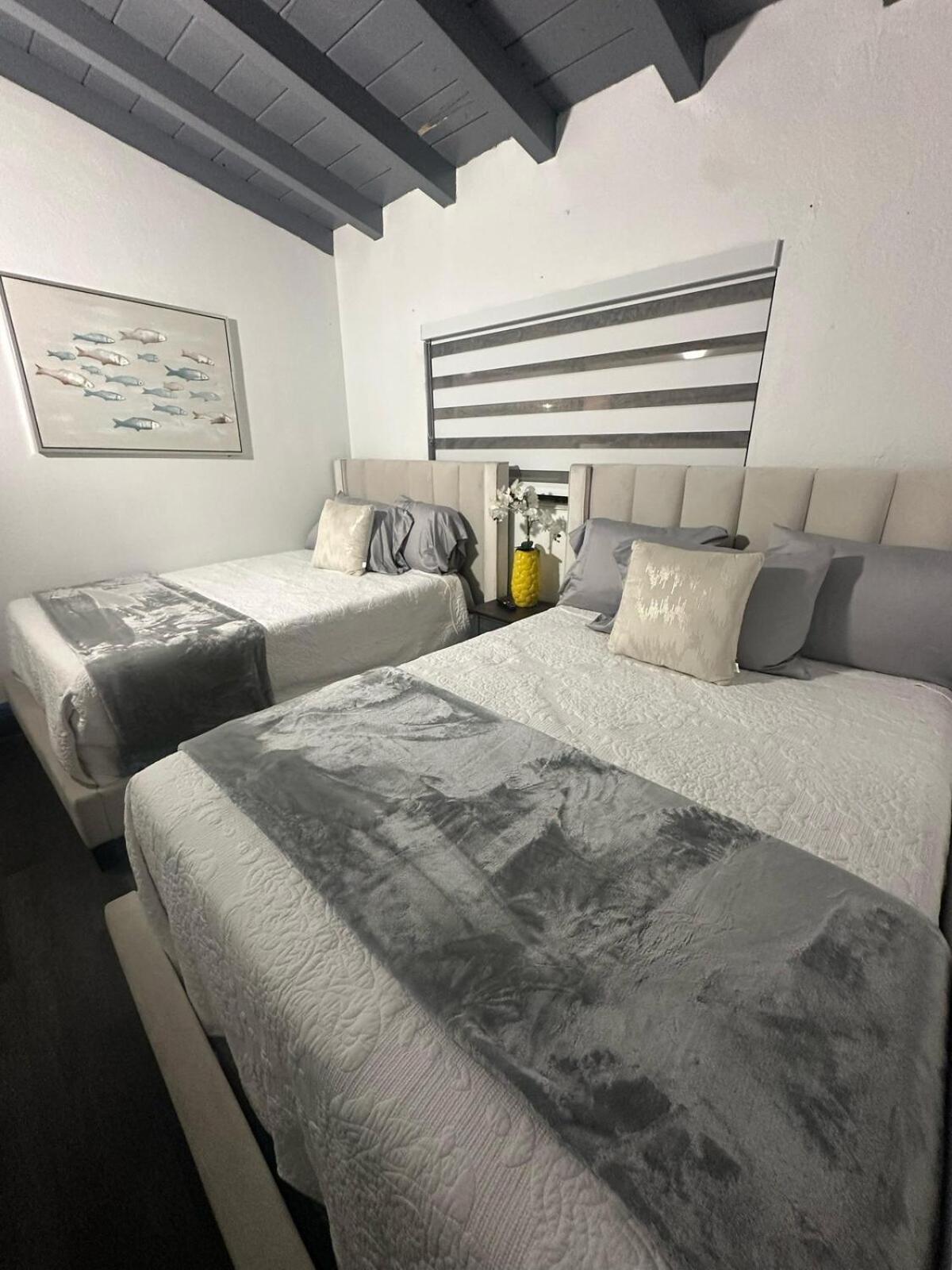 Appartamento Palms Paradise By Coral Gables *